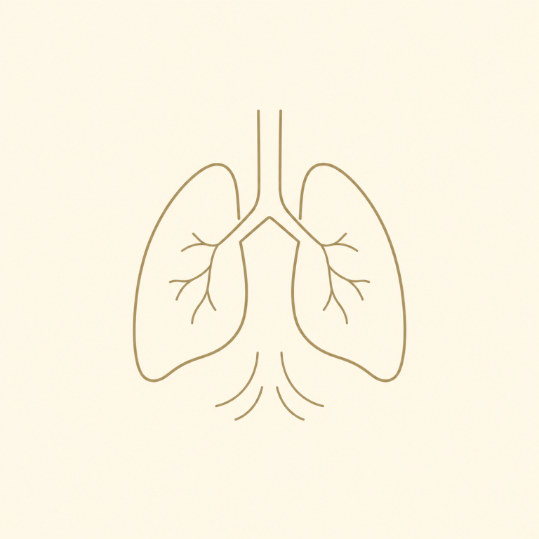 Rééducation respiratoire Kinésithérapie et rééducation respiratoire à Mauguio